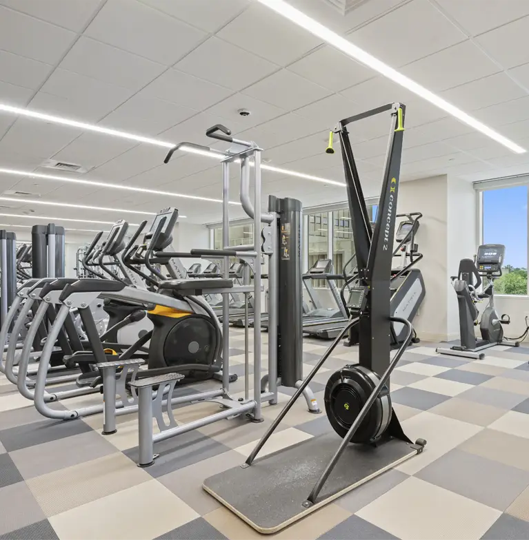 A modern gym with large windows, featuring treadmills, stationary bikes, elliptical machines, resistance machines, and a ski erg on a checkered tile floor. The space is bright with overhead lighting.